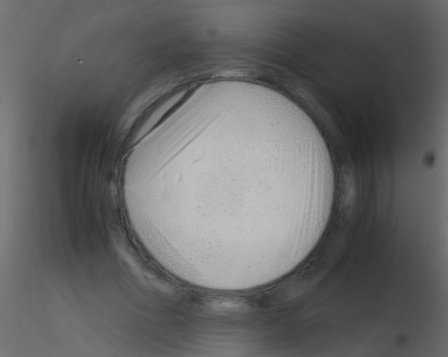 X0000115820586200912241937