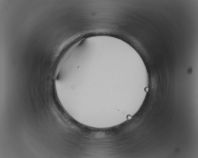 X0000115820588200912241937