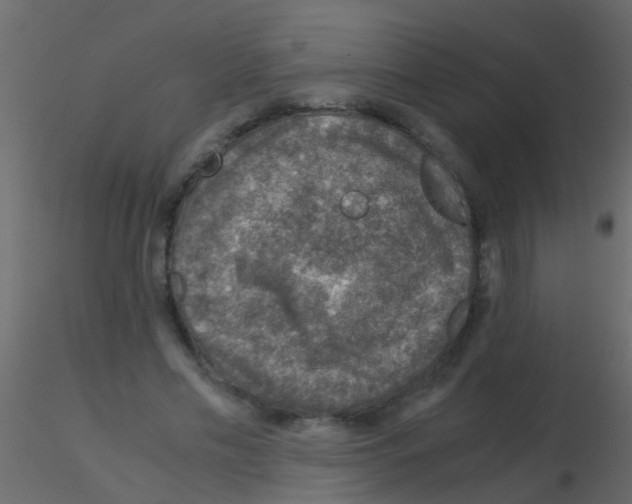 X0000115820589200912241937