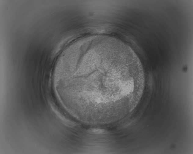 X0000115820590200912241937