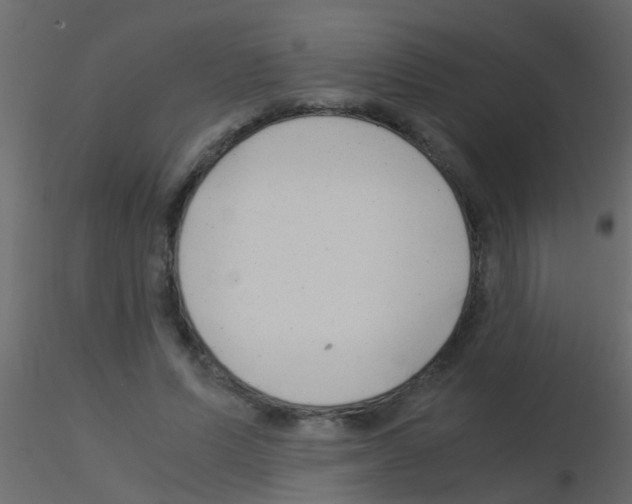 X0000115820591200912241937