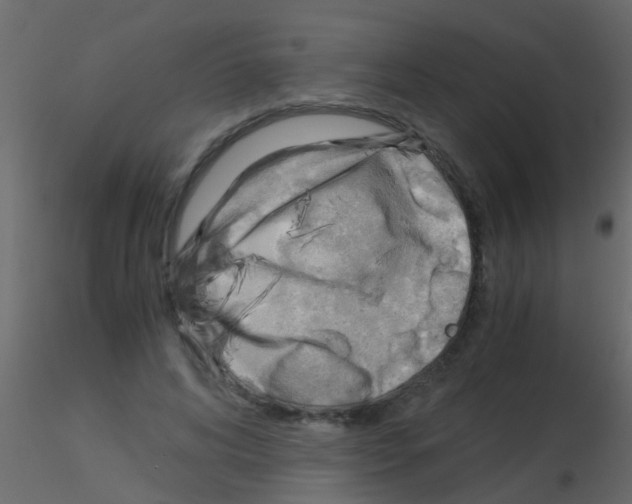 X0000115820592200912241937