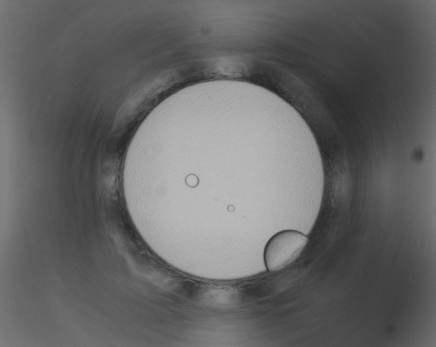 X0000115820595200912241936