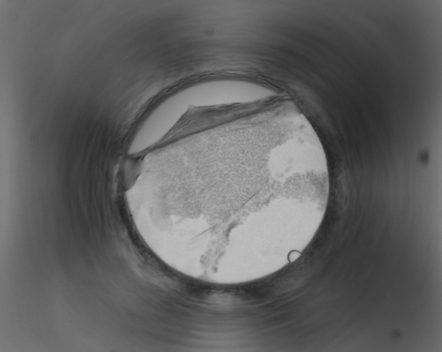 X0000115820596200912241936