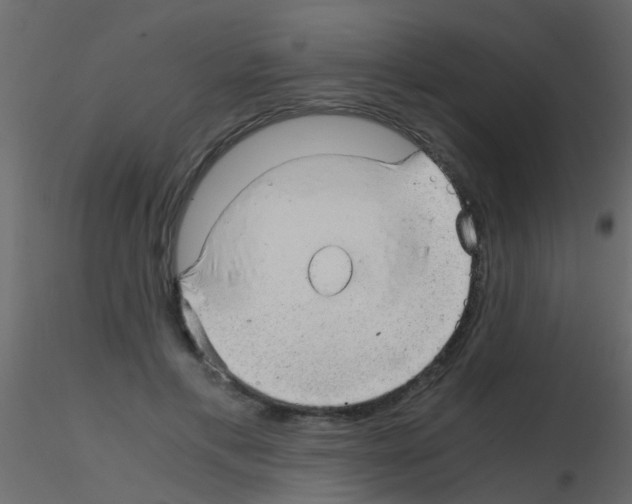 X0000115820597200912241936