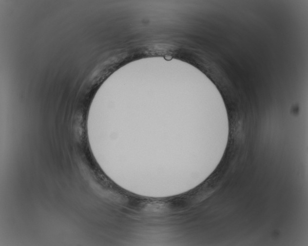 X0000115820599200912241936