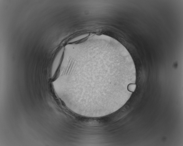 X0000115820600200912241936