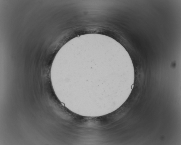 X0000115820601200912241936