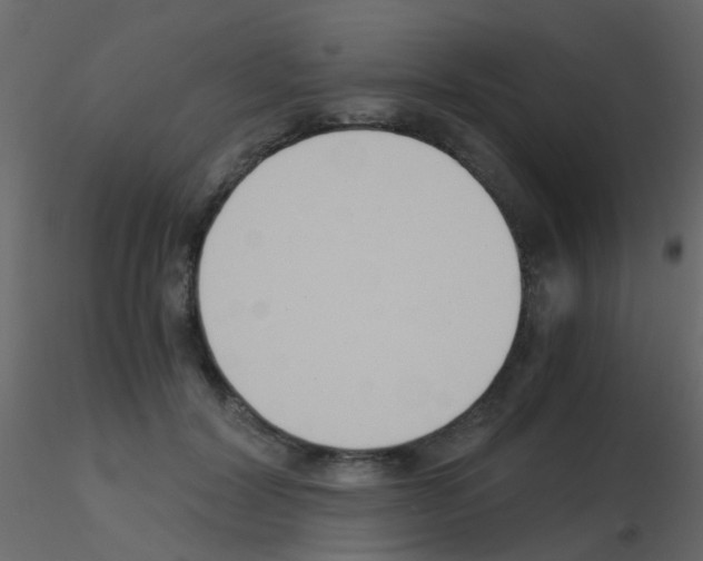 X0000115820604200912241936