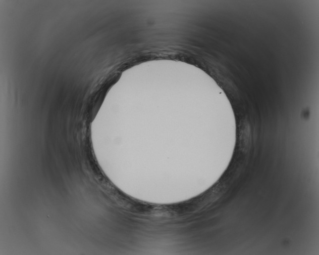 X0000115820608200912241936