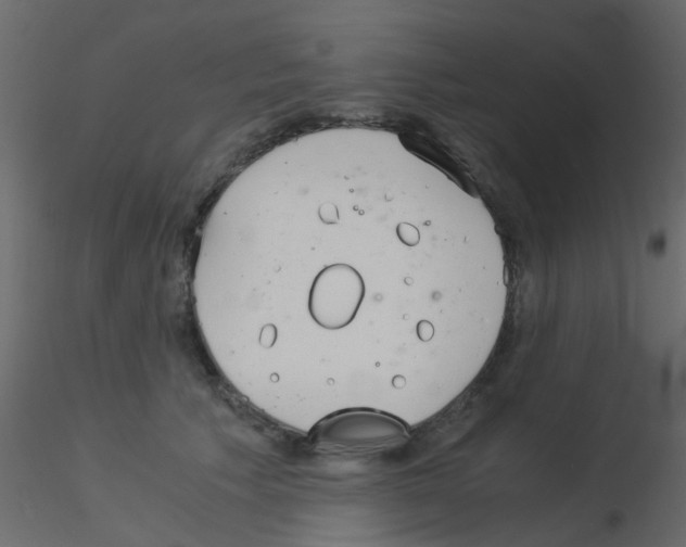 X0000115820609200912241936