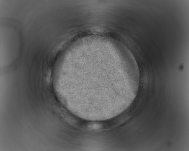 X0000115820610200912241936