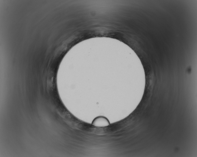 X0000115820615200912241936