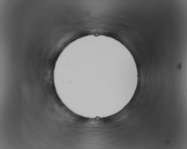 X0000115820619200912241936