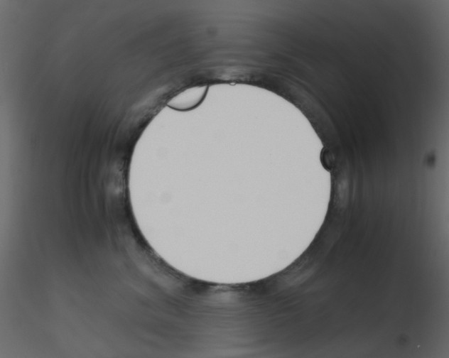 X0000115820620200912241936