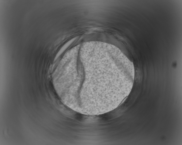 X0000115820621200912241936