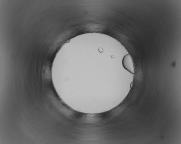 X0000115820622200912241936