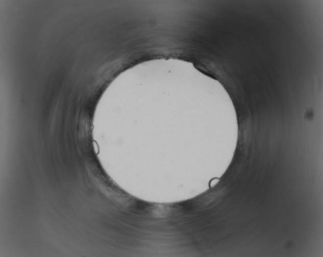 X0000115820623200912241936