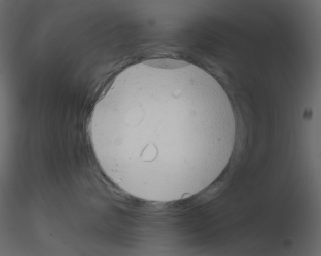 X0000115820624200912241936