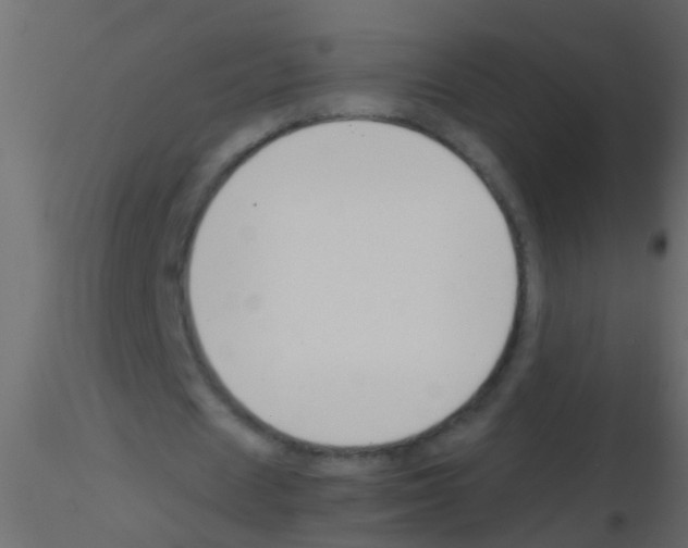 X0000115820625200912241935