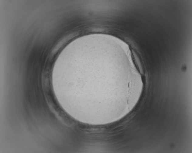 X0000115820626200912241935