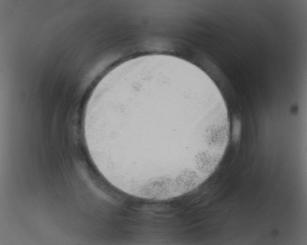 X0000115820627200912241935