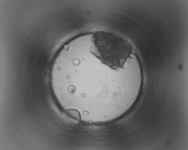 X0000115820629200912241936