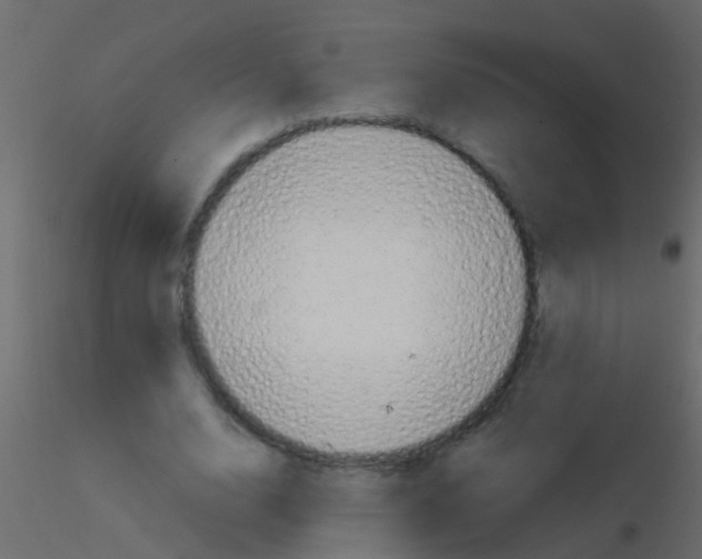 X0000115820632200912241936