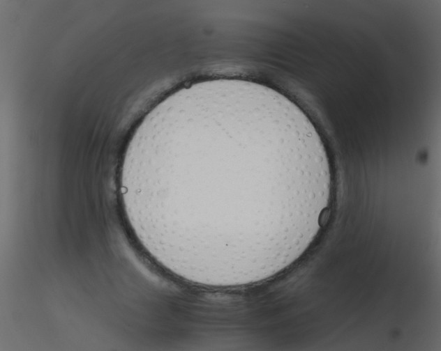 X0000115820633200912241936