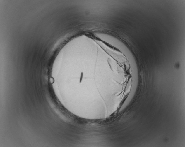 X0000115820634200912241936