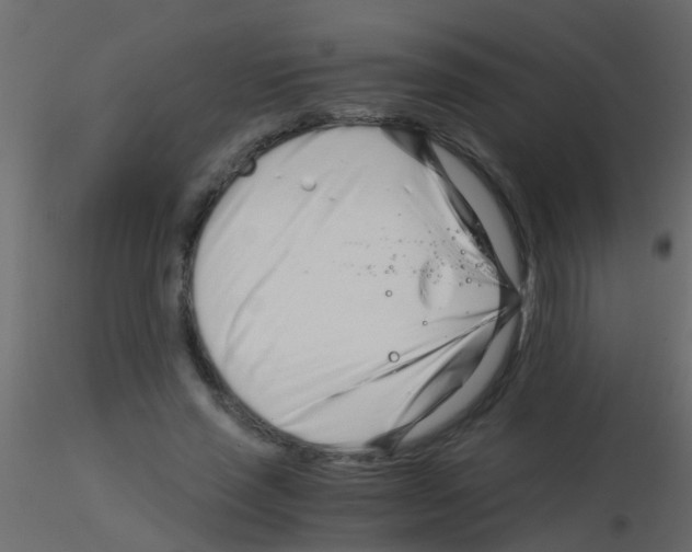 X0000115820637200912241936