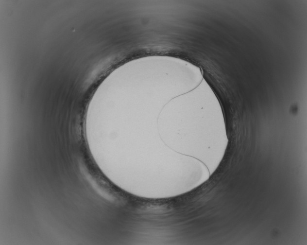 X0000115820638200912241936