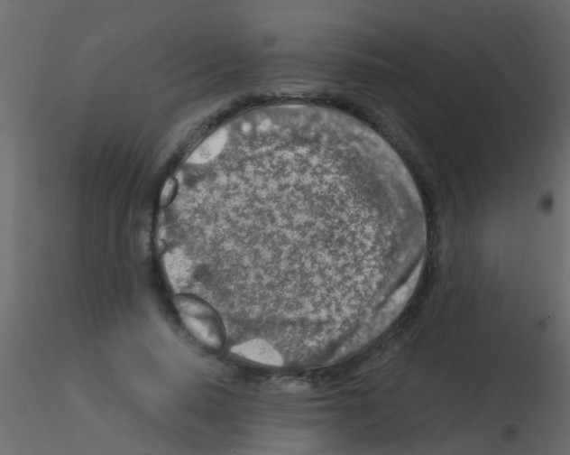 X0000115820640200912241936