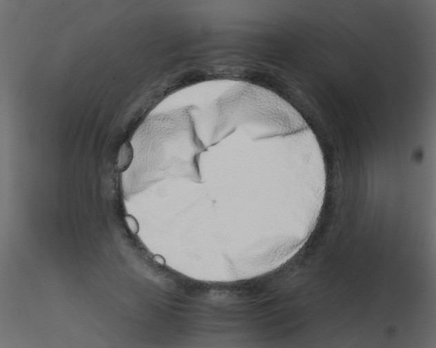 X0000115820641200912241936