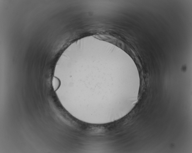 X0000115820642200912241936