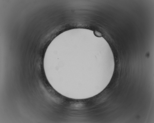 X0000115820643200912241936