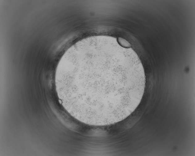 X0000115820644200912241936