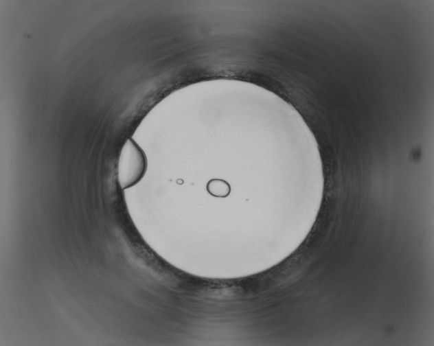 X0000115820646200912241936