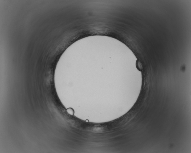 X0000115820647200912241936