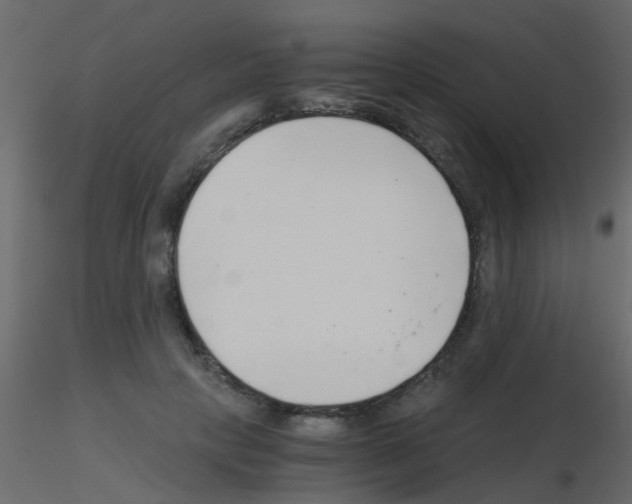 X0000115820649200912241936