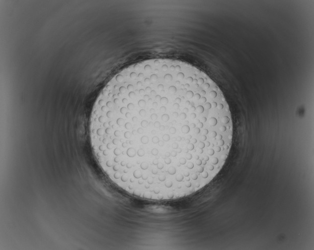 X0000115820654200912241936