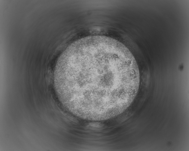 X0000115820659200912241936