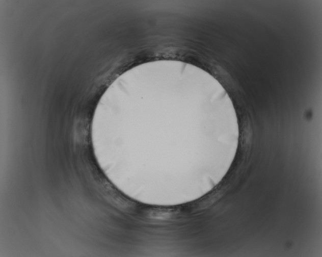 X0000115820661200912241936