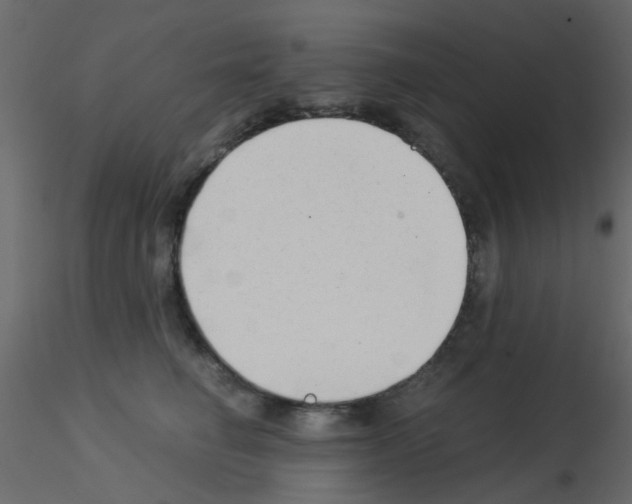 X0000115820662200912241936