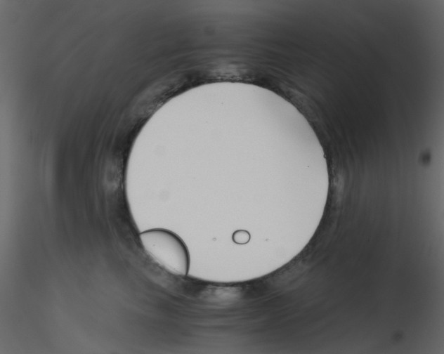 X0000115820665200912241936