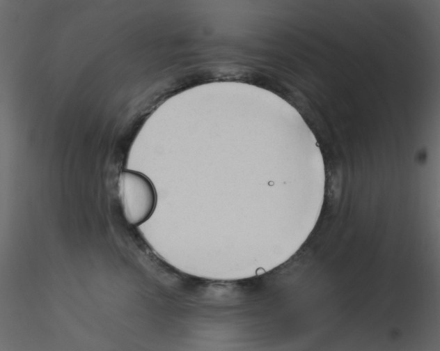 X0000115820666200912241936