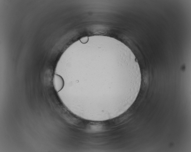 X0000115820667200912241936