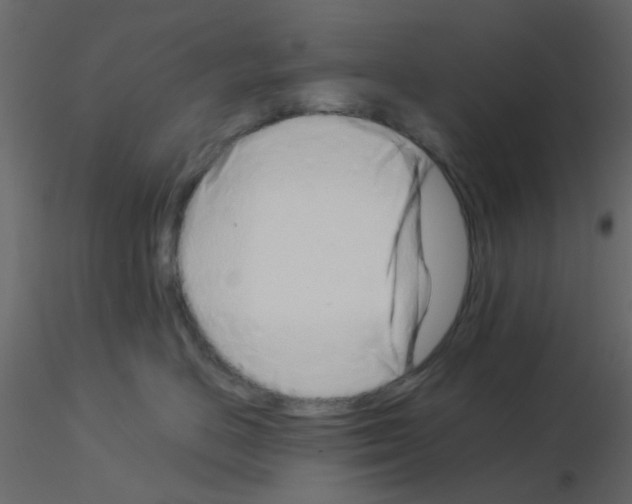 X0000115820670200912241936