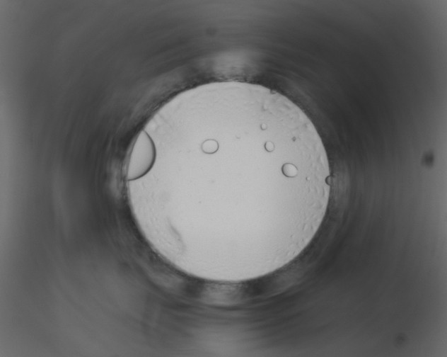 X0000115820671200912241936