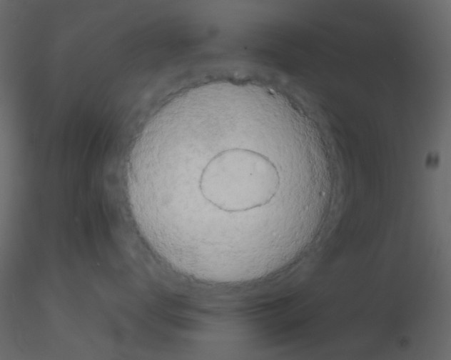 X0000115820672200912241936